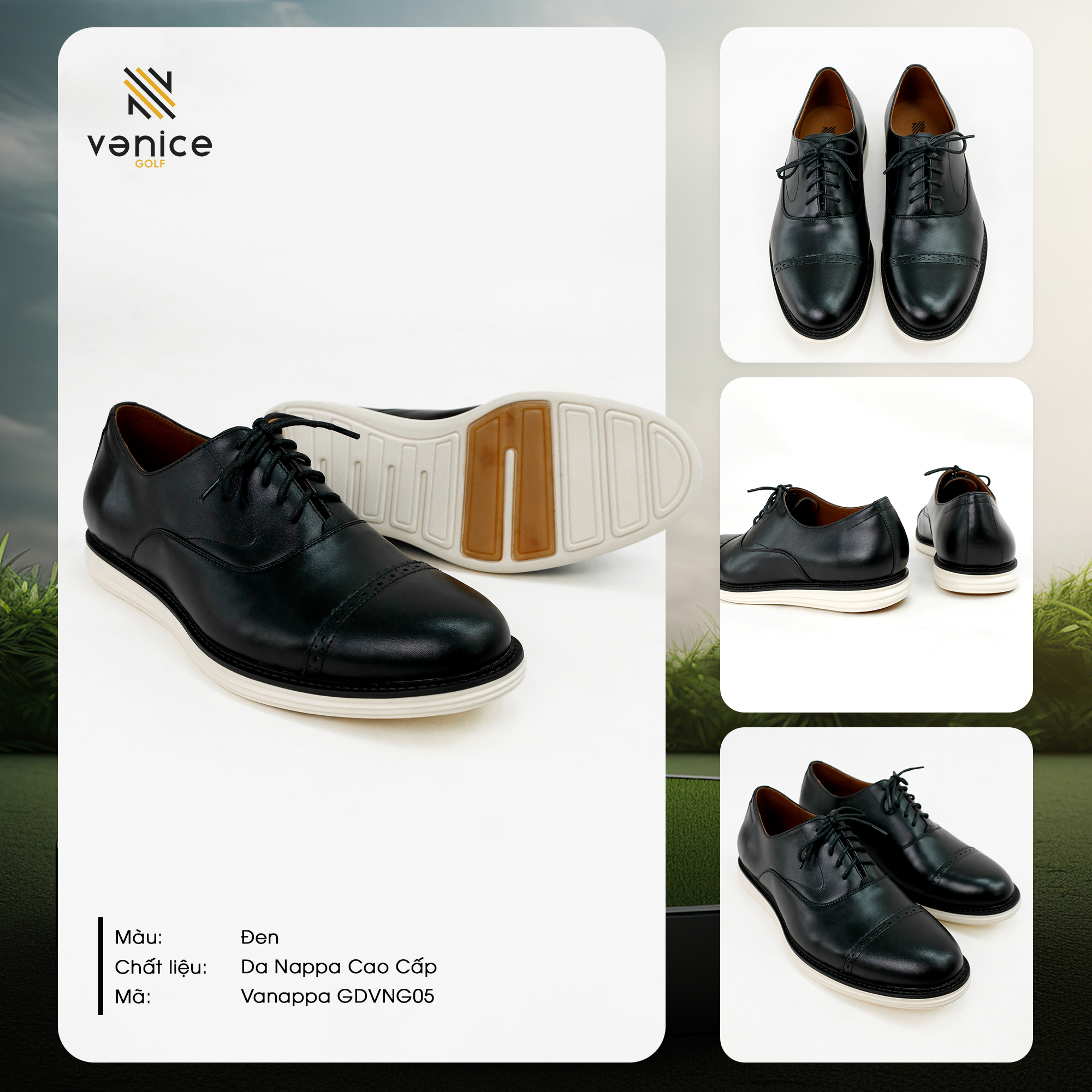 Giày golf Oxford đen Vanice Golf bằng da Nappa cao cấp, thiết kế sang trọng dành cho quý ông golfer hiện đại