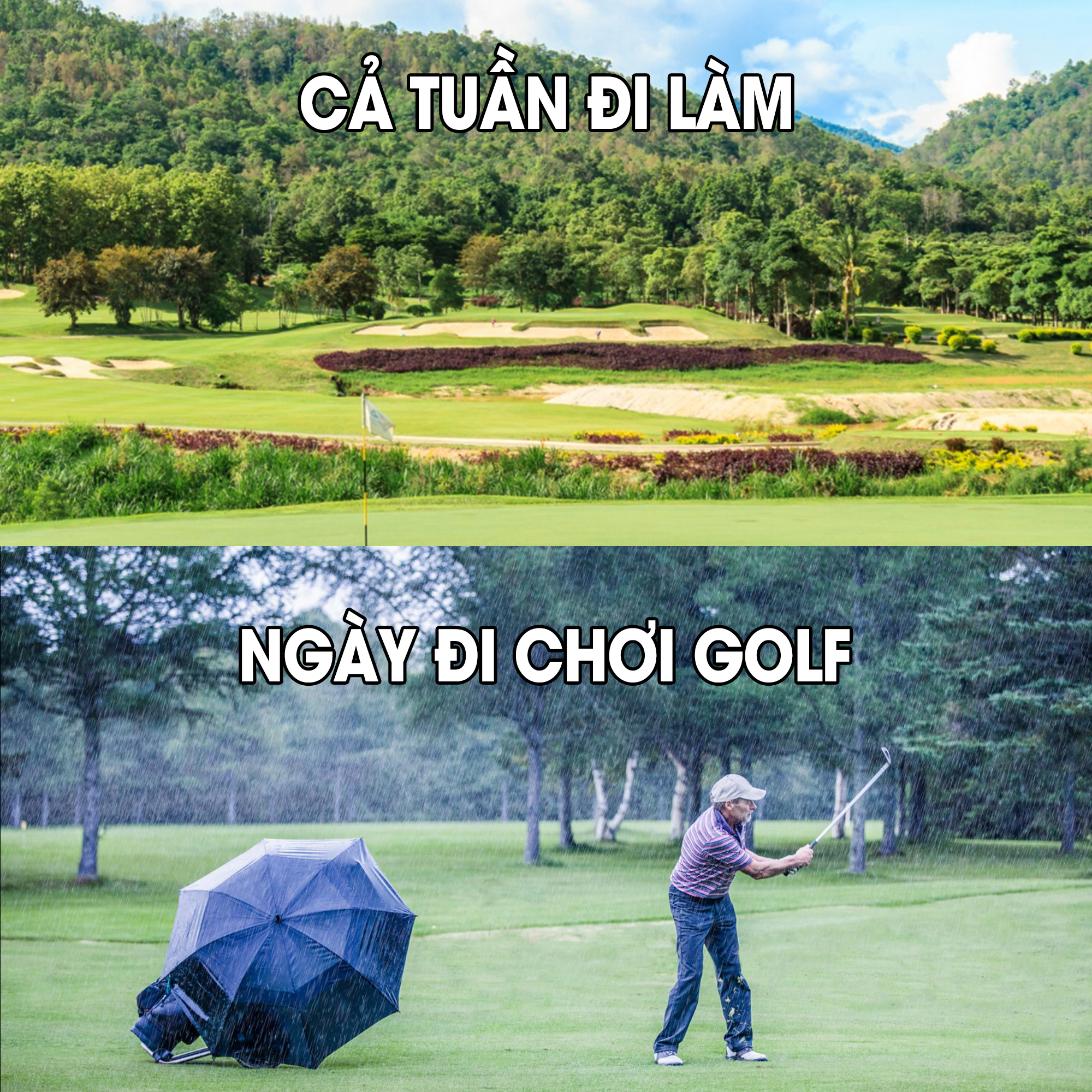 Sân golf xanh mát dưới trời nắng và golfer đánh golf trong mưa, lưu ý khi chơi golf mùa mưa bão